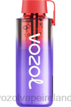 Best VOZOL Flavor - VOZOL NEON 10000 6480231 BLUE RAZZ ICE