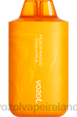 Best VOZOL Flavor - VOZOL STAR 6000/8000 V2 648063 PEACH MANGO PINEAPPLE