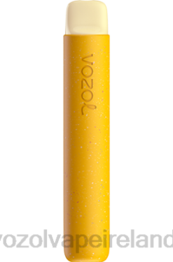 Best VOZOL Flavor - VOZOL STAR 600 648084 LEMON KIWI PASSION FRUIT