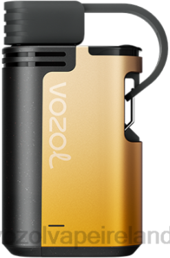 VOZOL Disposable Vape Price - VOZOL GEAR 4000C/6000 6480327 MANGO PASSION FRUIT