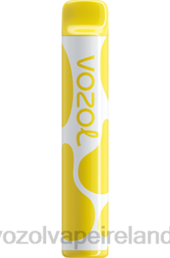 VOZOL Disposable Vape Price - VOZOL JOYGO 600 6480383 LEMON TART