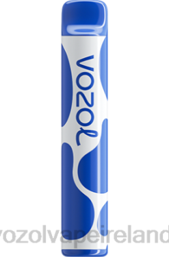 VOZOL Disposable Vape Price - VOZOL JOYGO 600 6480390 BLUEBERRY STORM