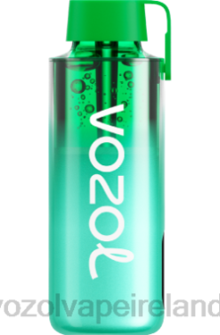 VOZOL Disposable Vape Price - VOZOL NEON 10000 6480229 MIAMI MINT