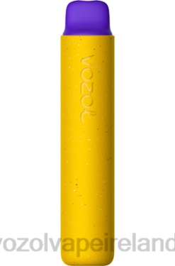 VOZOL Disposable Vape Price - VOZOL STAR 2000 6480159 MANGO ICE