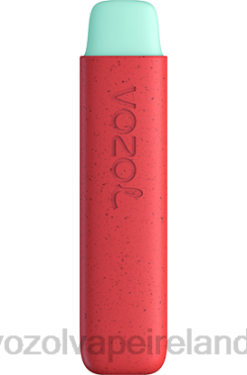 VOZOL Disposable Vape Price - VOZOL STAR 550 6480138 APPLE PEACH