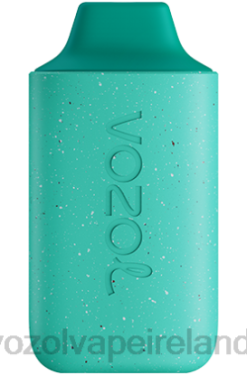 VOZOL Disposable Vape Price - VOZOL STAR 6000 6480110 COOL MINT