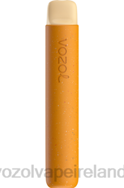 VOZOL Disposable Vape Price - VOZOL STAR 600 648082 ICED MANGO