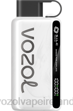 VOZOL Disposable Vape Price - VOZOL STAR 9000/12000 648033 TOBACCO