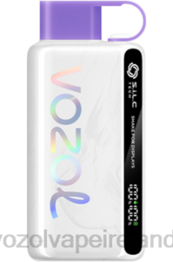 VOZOL Disposable Vape Price - VOZOL STAR 9000/12000 648047 RAINBOW CANDY