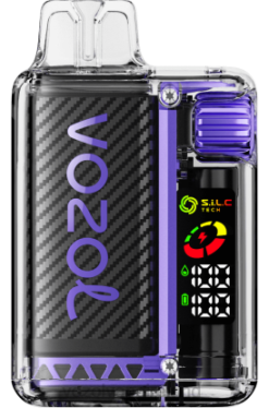 VOZOL Disposable Vape Price - VOZOL VISTA 16000/20000 64805 GRAPE ICE