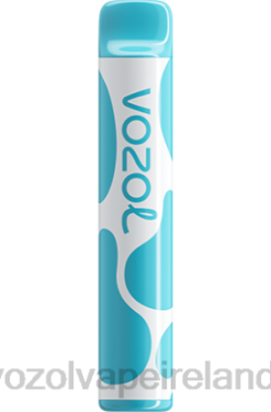 VOZOL Disposable Vape Review - VOZOL JOYGO 600 6480377 BLUEBERRY SOUR RASPBERRY