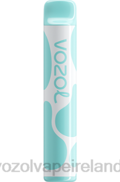 VOZOL Disposable Vape Review - VOZOL JOYGO 600 6480391 RAINBOW CANDY