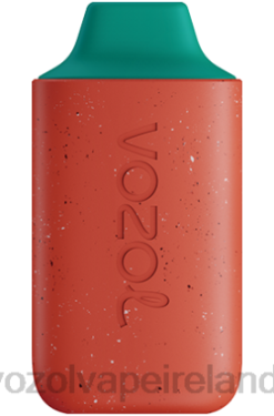 VOZOL Disposable Vape Review - VOZOL STAR 6000 6480132 STRAWBERRY RASPBERRY