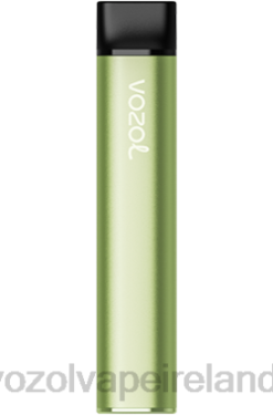 VOZOL Disposable Vape Review - VOZOL SWITCH 600 6480223 COOL MINT