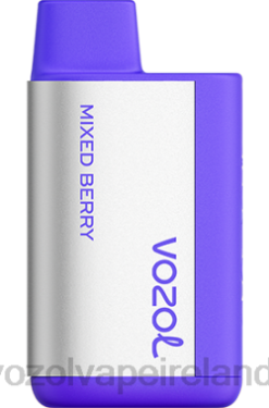 VOZOL Disposable Vape Review - VOZOL TIGO 600 6480370 MIXED BERRY