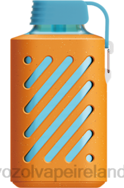 VOZOL Disposable Vape - VOZOL GEAR 10000 6480305 RASPBERRY TANGERINE