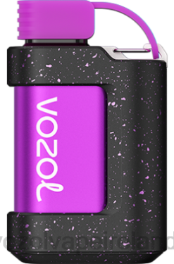 VOZOL Disposable Vape - VOZOL GEAR 7000 6480333 FOREST BERRY STORM