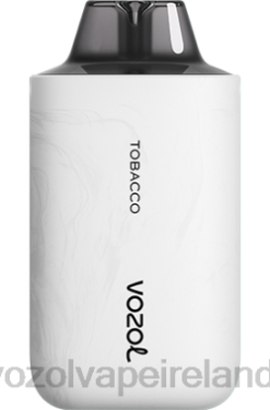 VOZOL Disposable Vape - VOZOL STAR 6000/8000 V2 648067 TOBACCO