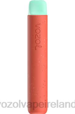 VOZOL Disposable Vape - VOZOL STAR 600 648088 LYCHEE GUAVA WATERMELON