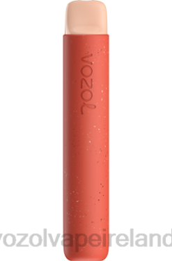 VOZOL Disposable Vape - VOZOL STAR 600 648095 STRAWBERRY ICE CREAM
