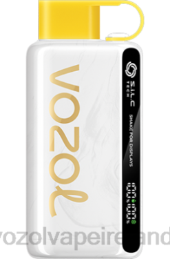 VOZOL Disposable Vape - VOZOL STAR 9000/12000 648025 KIWI PASSION FRUIT GUAVA