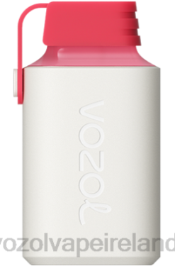 VOZOL Ireland - VOZOL GEAR 600 6480358 STRAWBERRY RASPBERRY CHERRY