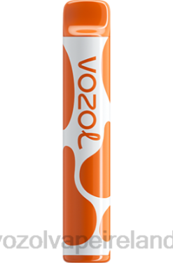 VOZOL Ireland - VOZOL JOYGO 600 6480379 COFFEE