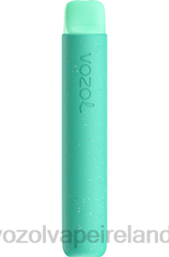 VOZOL Ireland - VOZOL STAR 600 648099 TROPICAL PUNCH