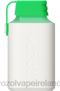 VOZOL Vape Ireland - VOZOL GEAR 600 6480352 LEMON MOJITO