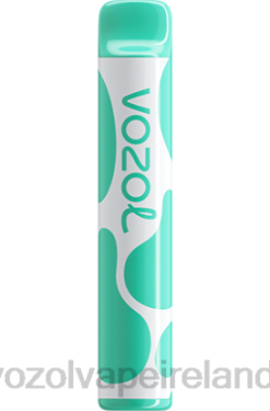 VOZOL Vape Ireland - VOZOL JOYGO 600 6480387 MENTHOL