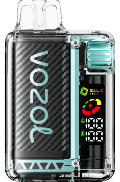 VOZOL Vape Ireland - VOZOL VISTA 16000/20000 64809 MIAMI MINT