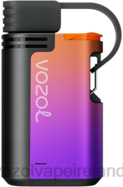 VOZOL Vape Price - VOZOL GEAR 4000C/6000 6480325 GRAPE ICE
