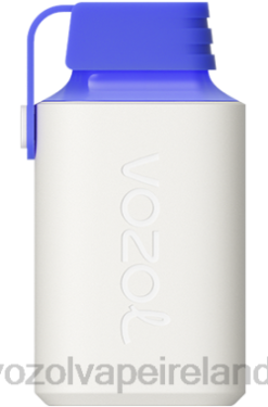 VOZOL Vape Price - VOZOL GEAR 600 6480346 BLUE RAZZ LEMON