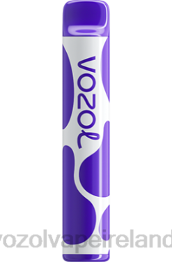 VOZOL Vape Price - VOZOL JOYGO 600 6480388 MIXED BERRIES