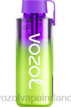 VOZOL Vape Price - VOZOL NEON 10000 6480241 WATERMELON ICE