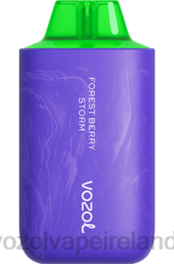 VOZOL Vape Price - VOZOL STAR 6000/8000 V2 648059 FOREST BERRY STORM
